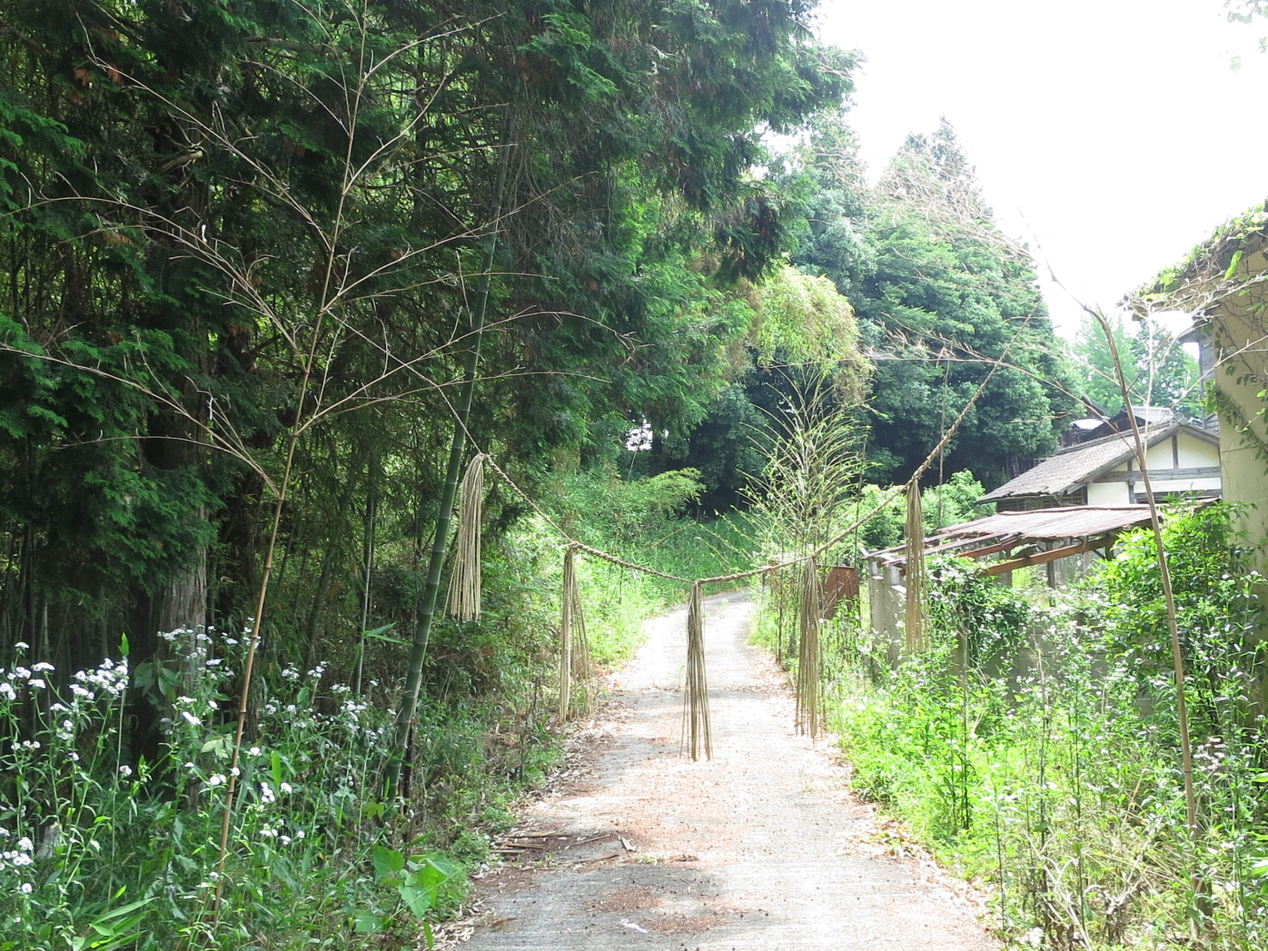 美星町の明神社裏参道