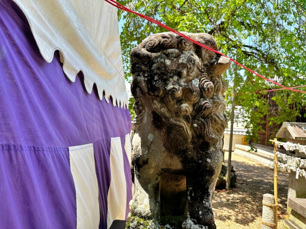 京都宇治の縣神社の狛犬