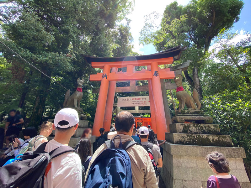 伏見稲荷大社　千本鳥居