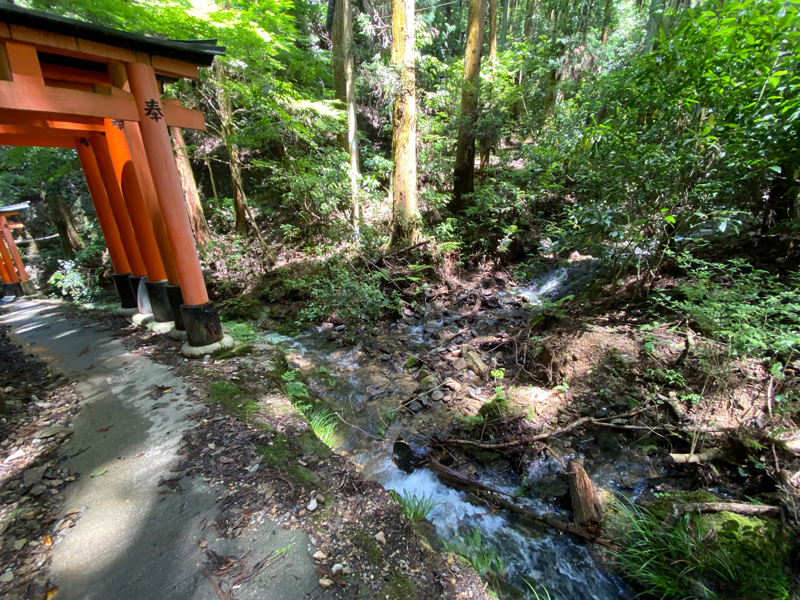 清滝への参道横のせせらぎ