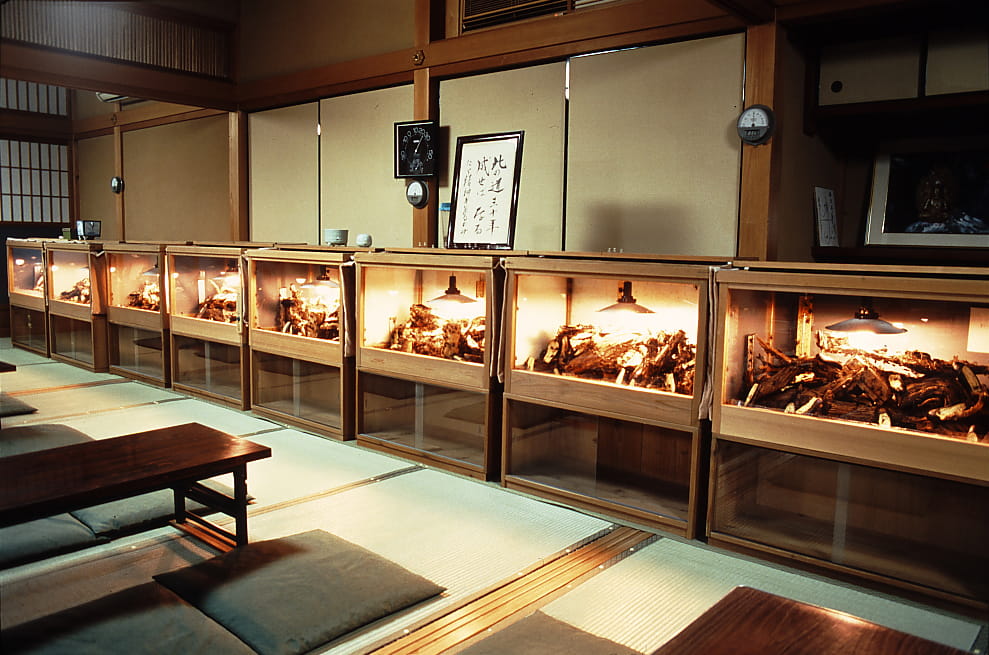 華厳寺(鈴虫寺)の鈴虫