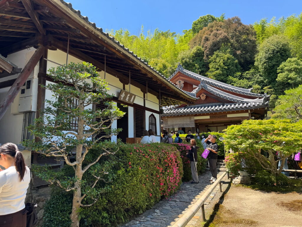 華厳寺(鈴虫寺)の受付に並び人たち