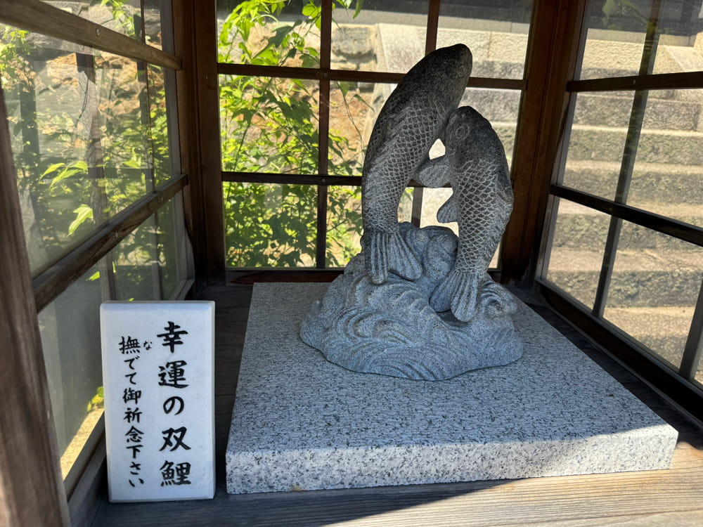 松尾大社の幸運の双鯉