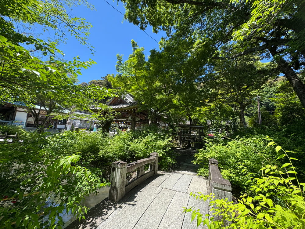 松尾大社 蓬来の庭への道