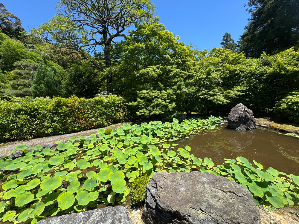 西芳寺(苔寺)の庭