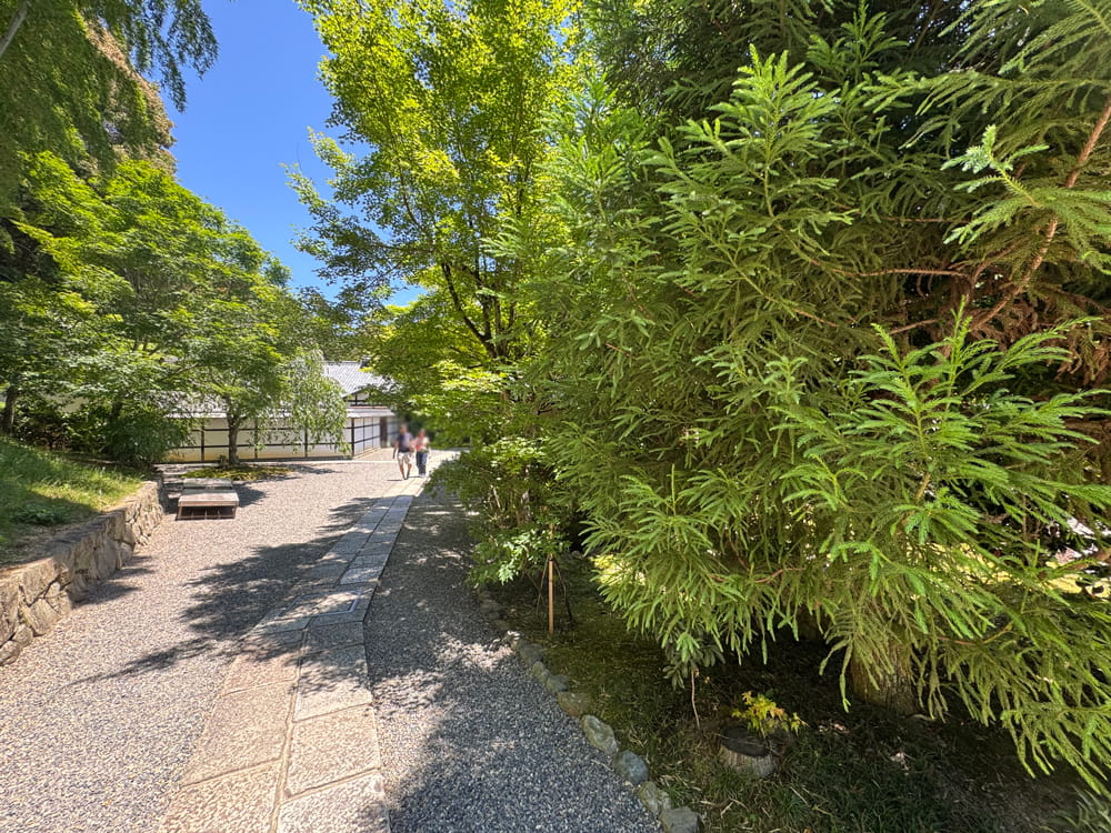 西芳寺(苔寺)庭園