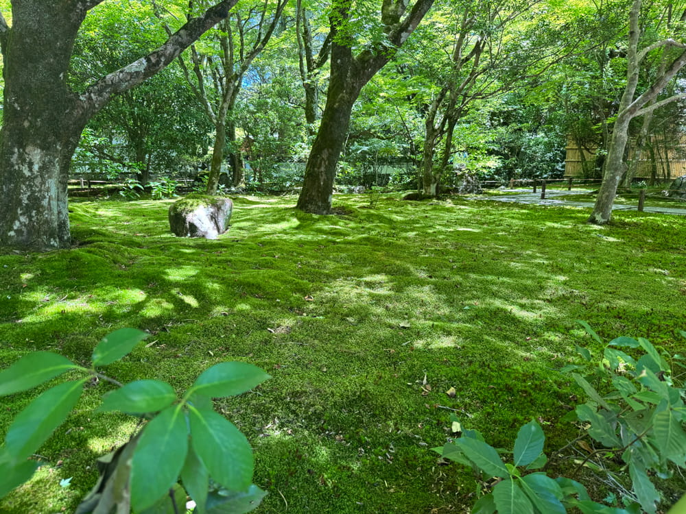 西芳寺(苔寺)庭園