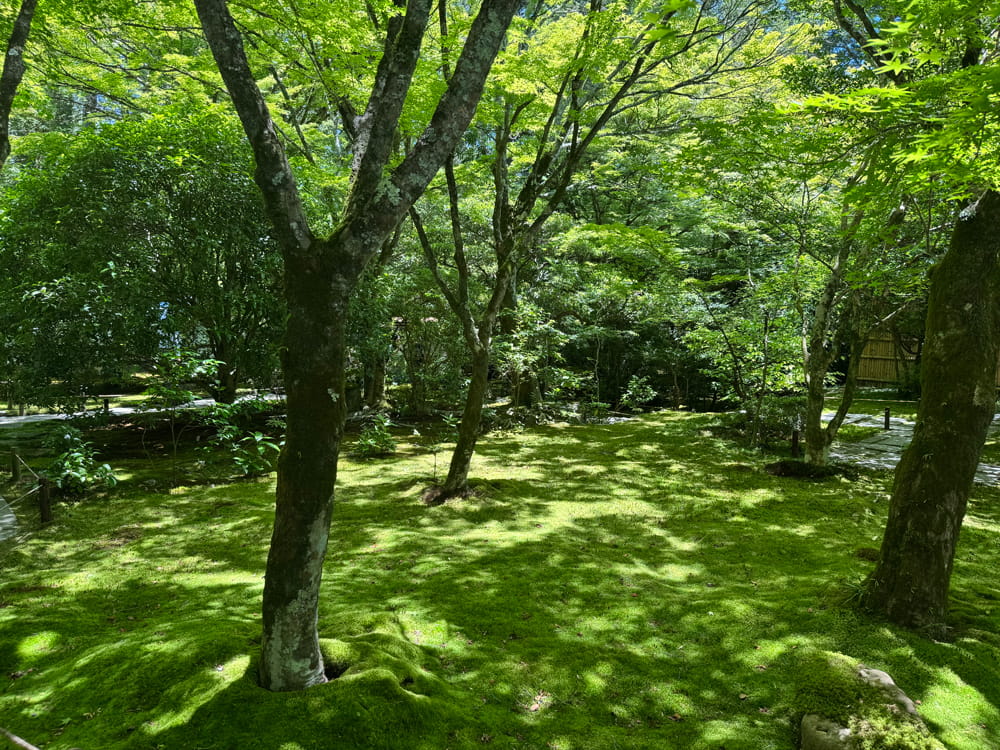 西芳寺(苔寺)庭園