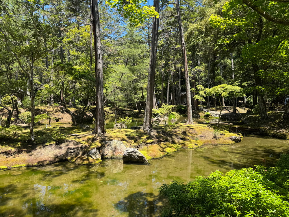 西芳寺(苔寺) 黄金池(おうごんち)