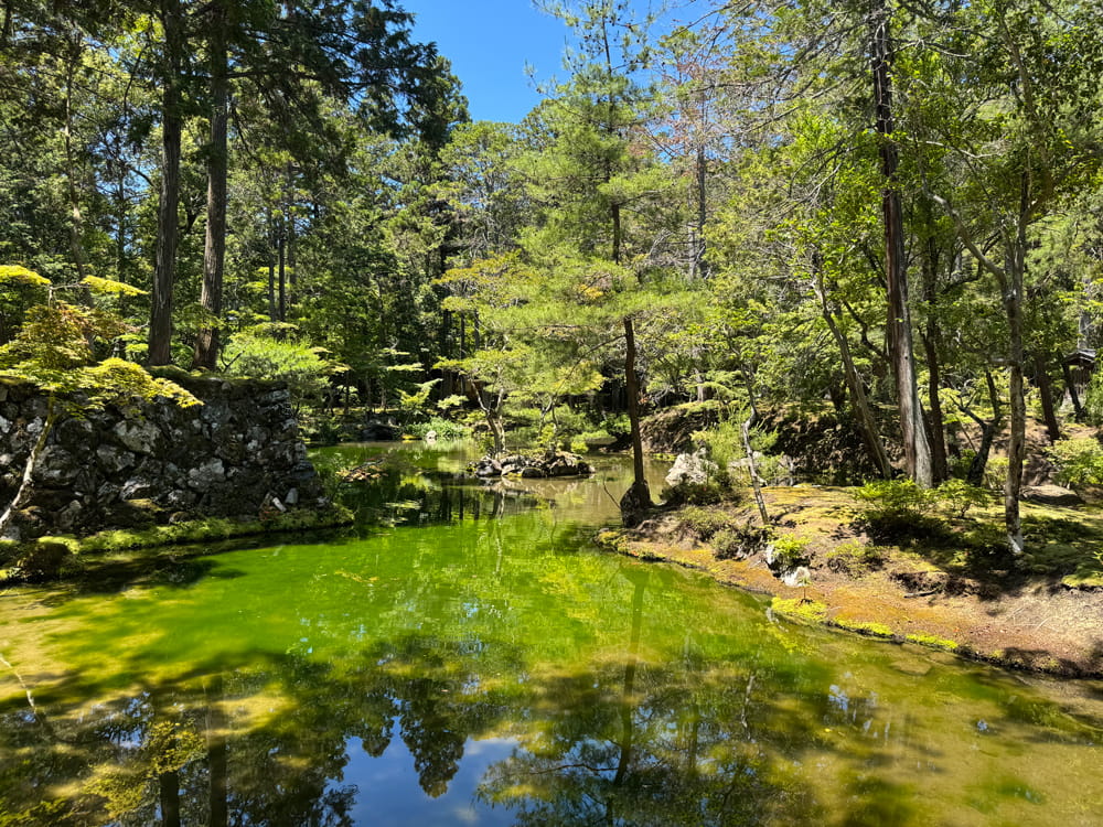 西芳寺(苔寺) 黄金池(おうごんち)