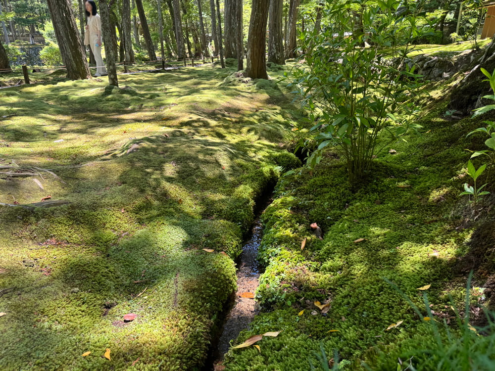 西芳寺(苔寺)庭園