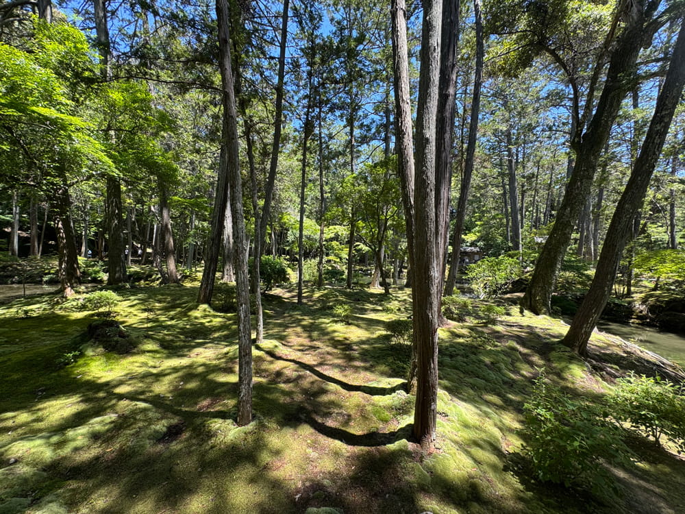 西芳寺(苔寺)庭園